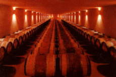 Beautiful cellar at "Domaine du Castel"